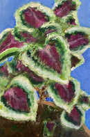 Coleus on Blue-4