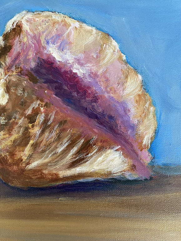 Conch Shell Study