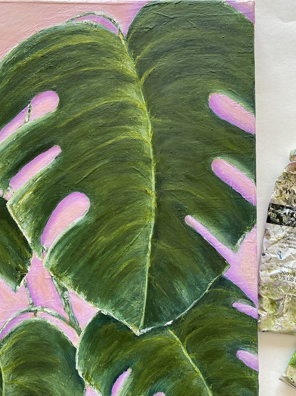 Monstera on Pink