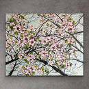 Cherry Blossom-4