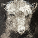 Three Goats in a Row Peeking from the Barn-4