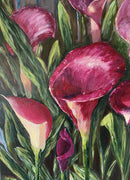 Lilies in The Morning-4