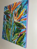 Birds Of Paradise-4