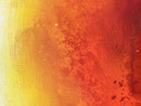 Fervor-4
