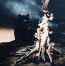 Somewhere Else-4