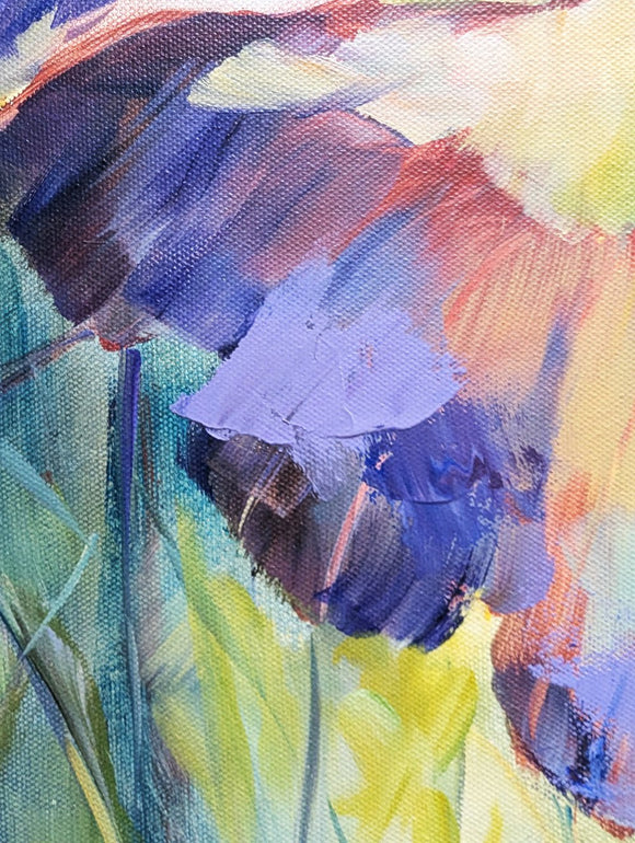 Lotus pond. Sunset.