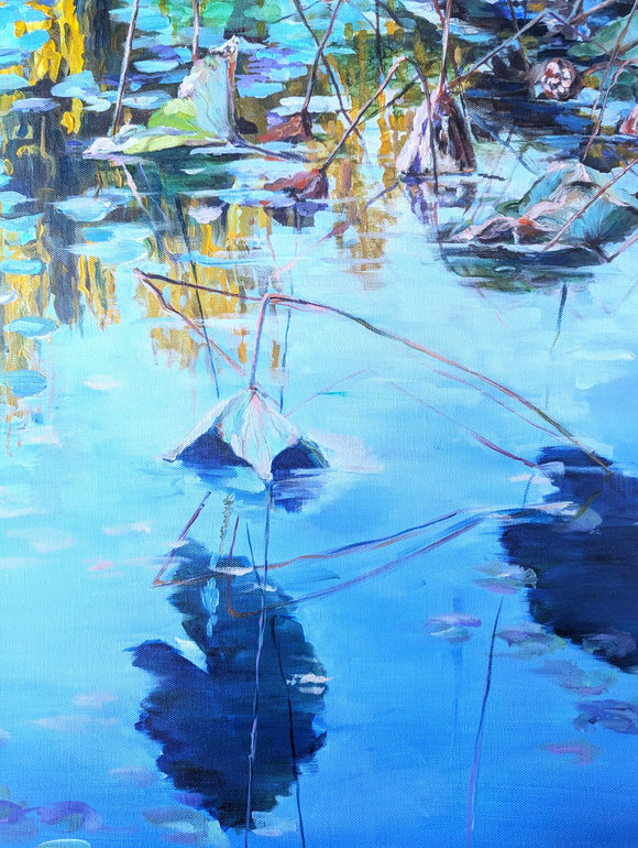 Lotus Reflection 3