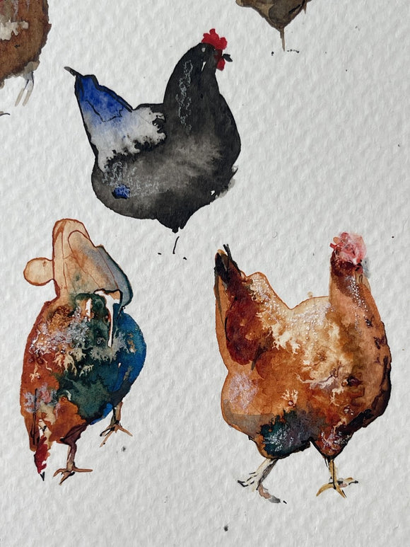 Colourful chickens