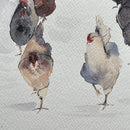 Backyard chickens-4