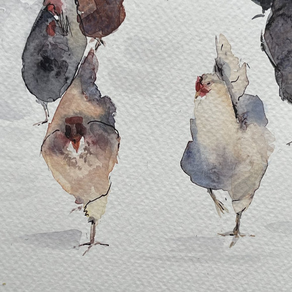 Backyard chickens
