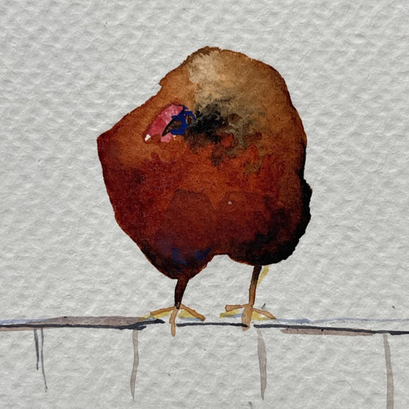 Chickens on a Fence