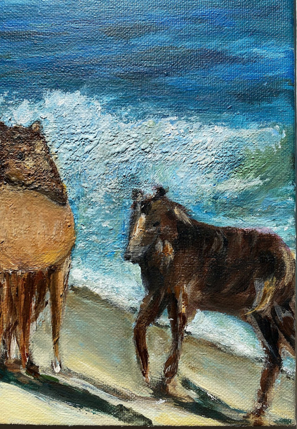 Wild Horses of Sable Island, Nova Scotia