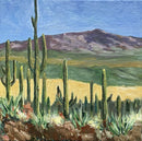 Saguaro National Park, Arizona-4