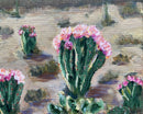 Desert Gardens-4