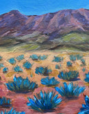 Blue Agave Desert-4