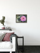 The Garden Dahlia-4