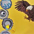 Eagle Eye-4
