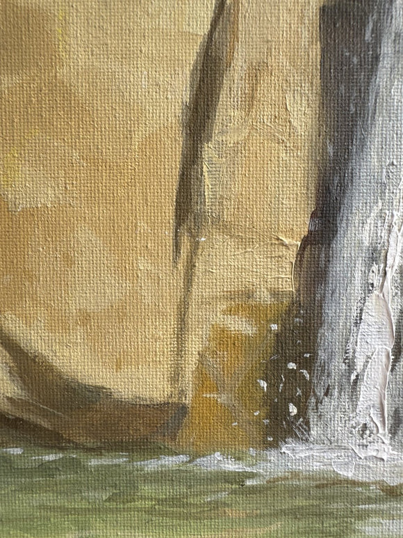 The unbowed (L'insoumise)