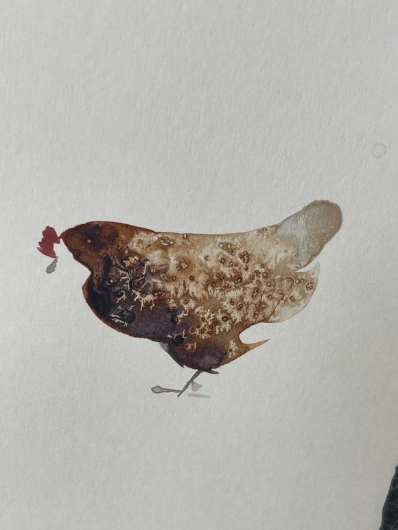 Lots of Hens