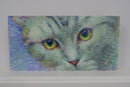 Inquisitive Cat-4