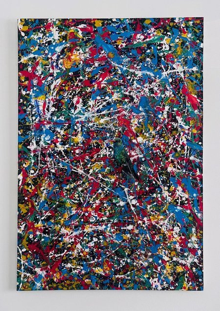 Broad-Billed Hummingbird