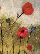 Landscape, poppy seeds,-4