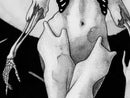 Full Moon-4