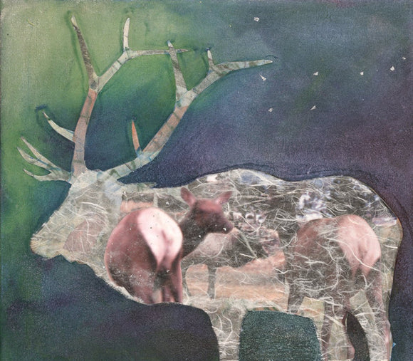 Rocky Mountain Elk III