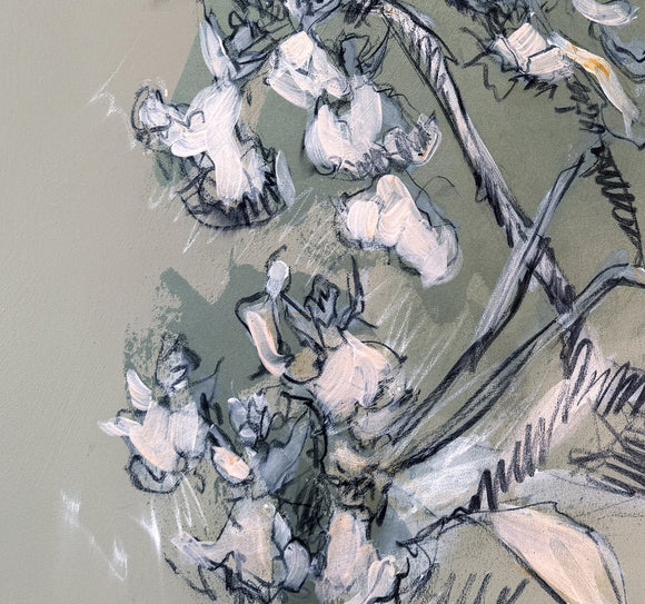 Orchid Essence: Dancing Ladies