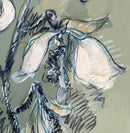 Orchid Essence: Stargazer-4