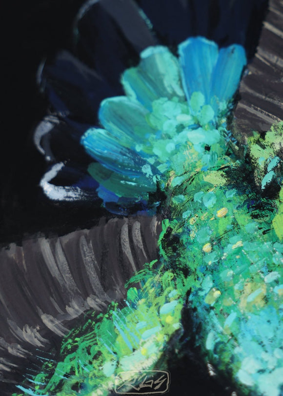 Hummingbirds