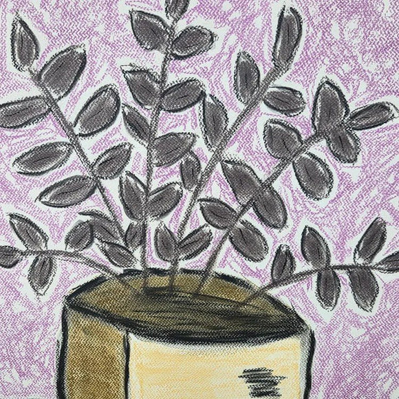 Eucalyptus