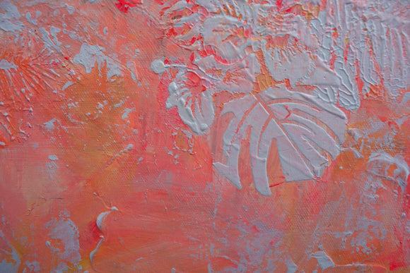 Patterns — Coral