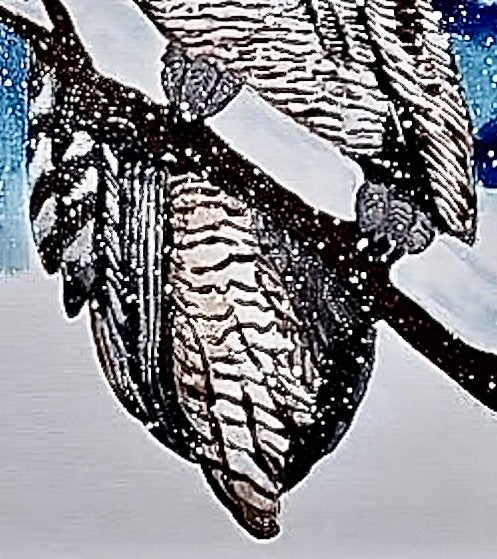 Great Horned Owl in the Snow