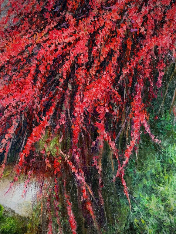 Red Japanese Barberries