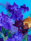Orange & Amethyst Irises in the glass vases-4