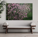 Ephemeral Beauty-3