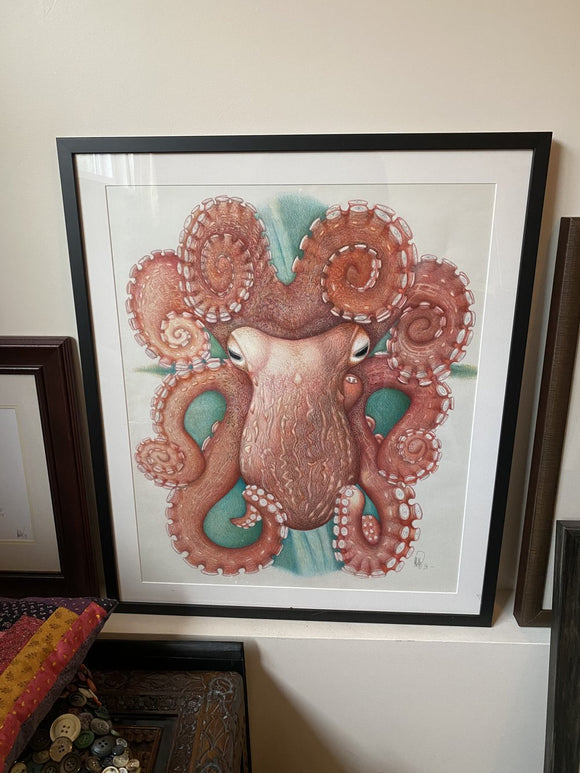 Giant Pacific octopus (Enteroctopus dofleini)
