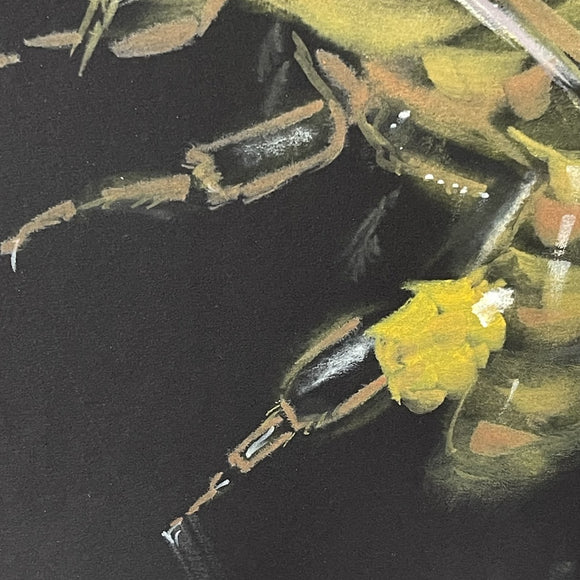 Honey Bee