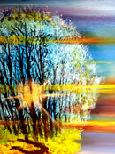 Sunrise in forest-5