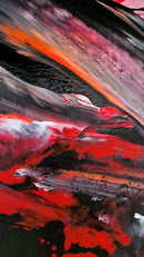 Callida-5
