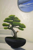 Bonsai by the window-5