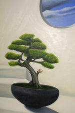 Bonsai by the window