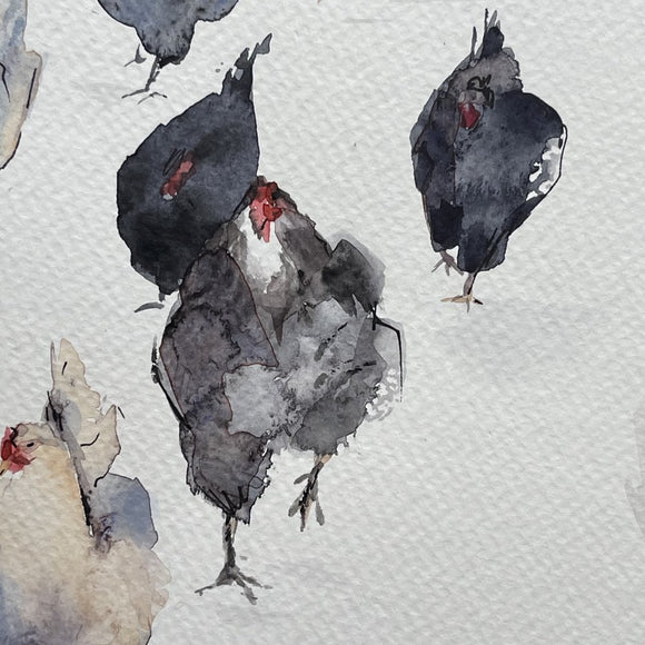 Backyard chickens