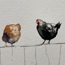 Chickens on a Fence-5