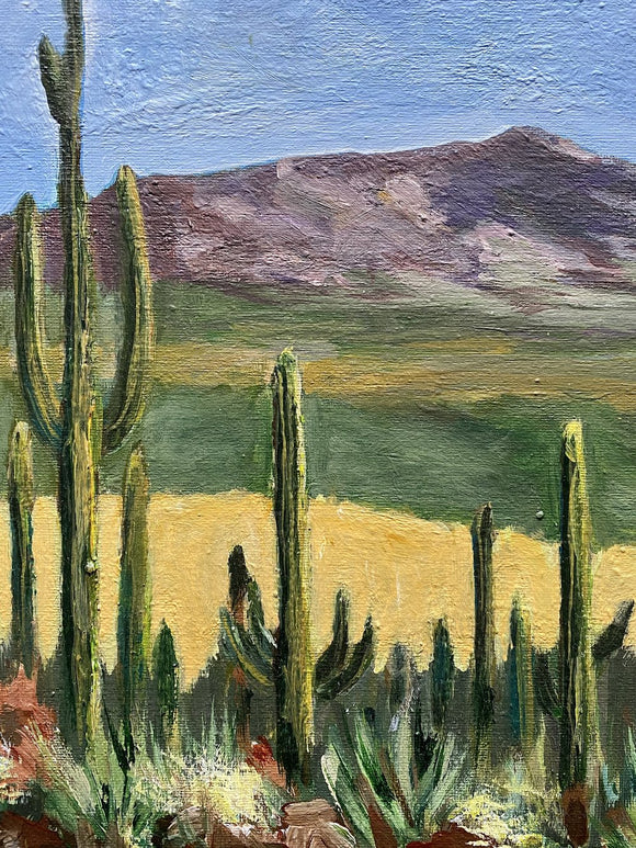 Saguaro National Park, Arizona