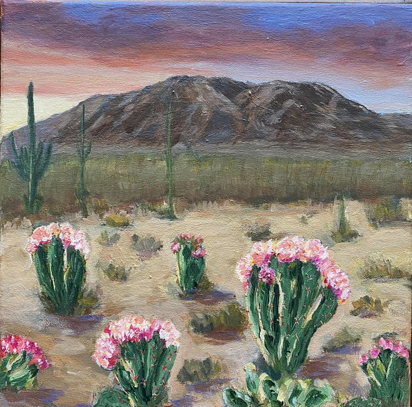 Desert Gardens
