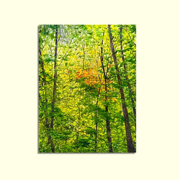 Natures Rhythms