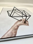 Grasping-5