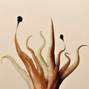 Octopus-5